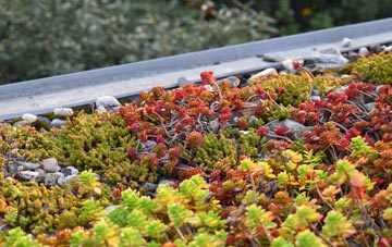 the cost of Braithwell green roof installation