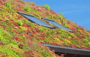 Braithwell living roof systems